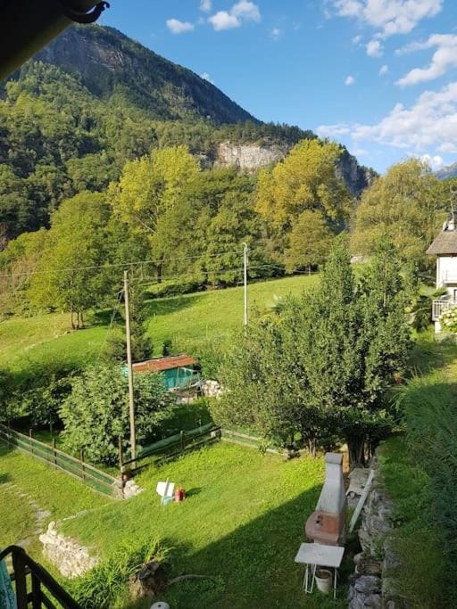 Natural landscape, Garden, Mountain view