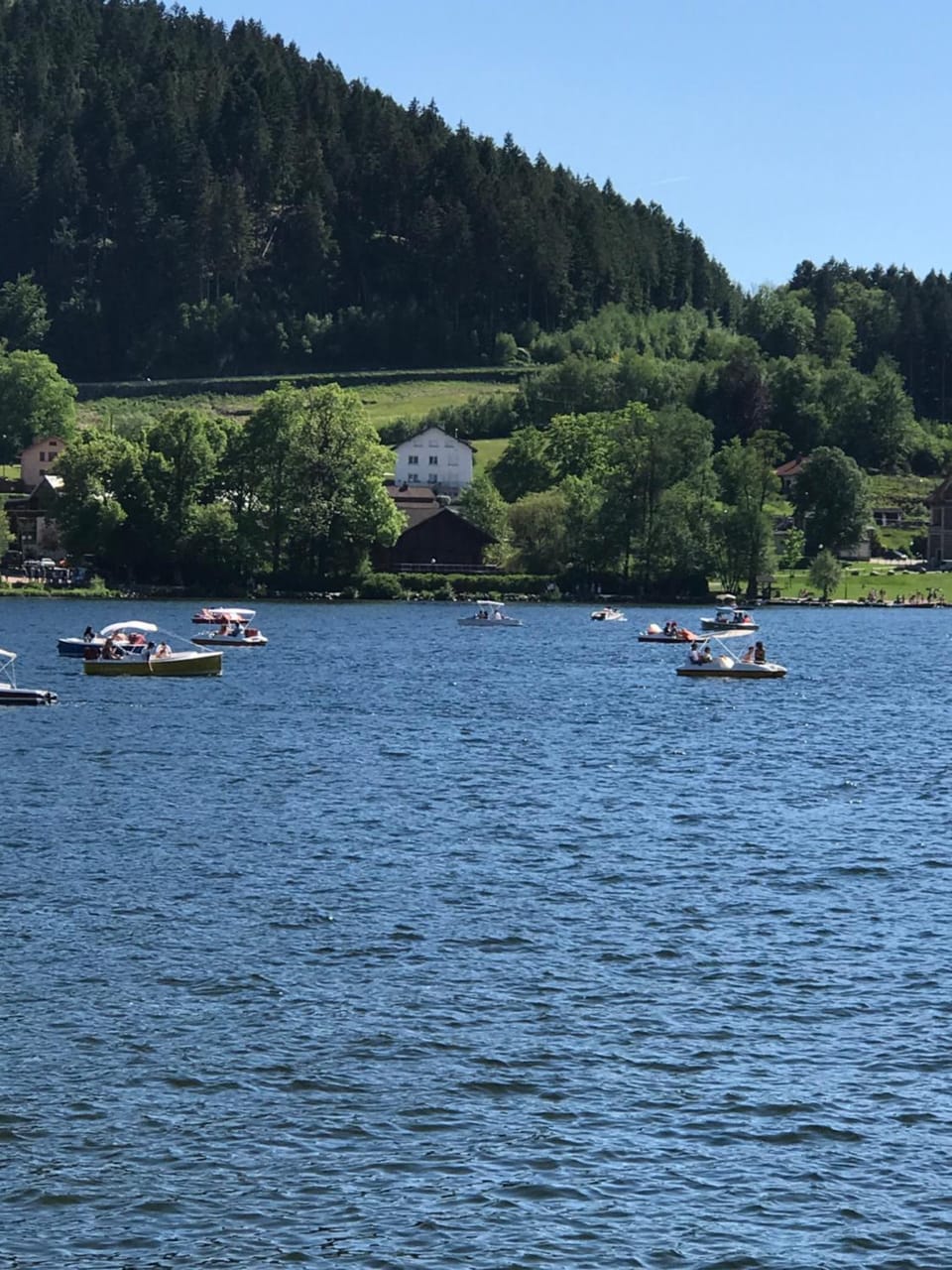 GERARDMER F2 Aubépine 80m du lac 4 personnes Vue directe lac Apartment in Gérardmer