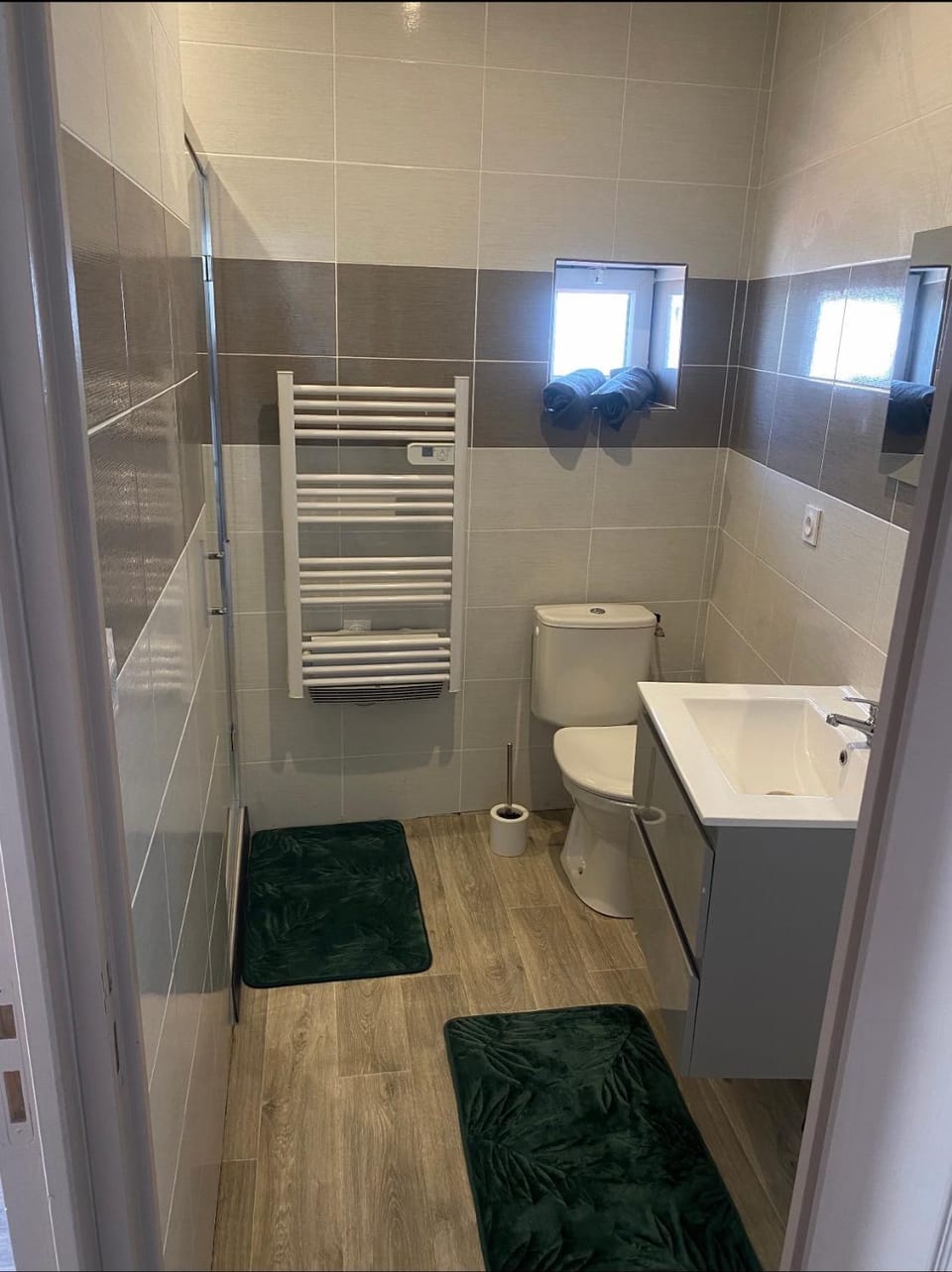 Shower, Toilet