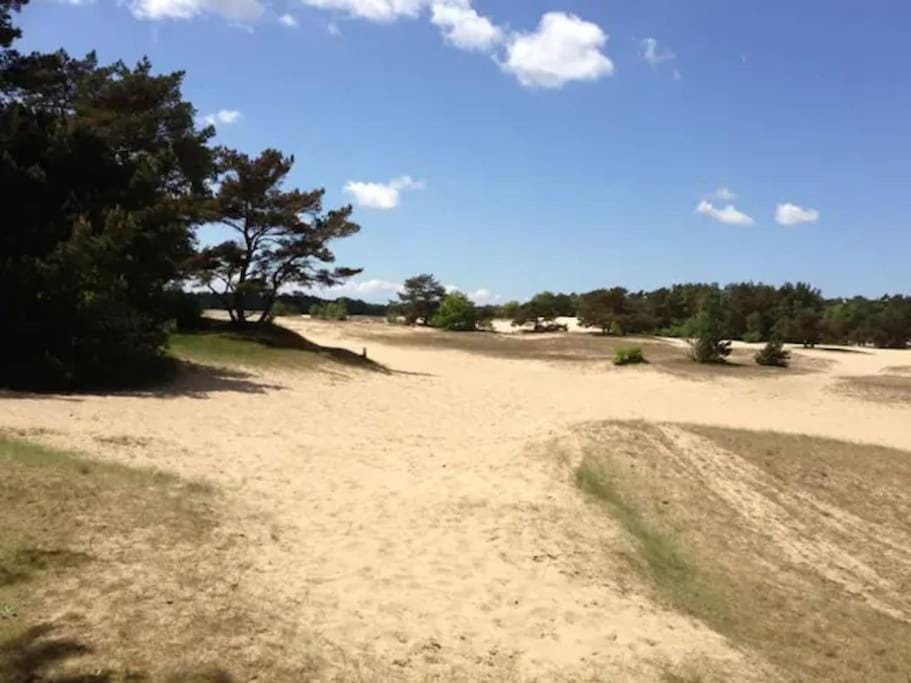 Natural landscape