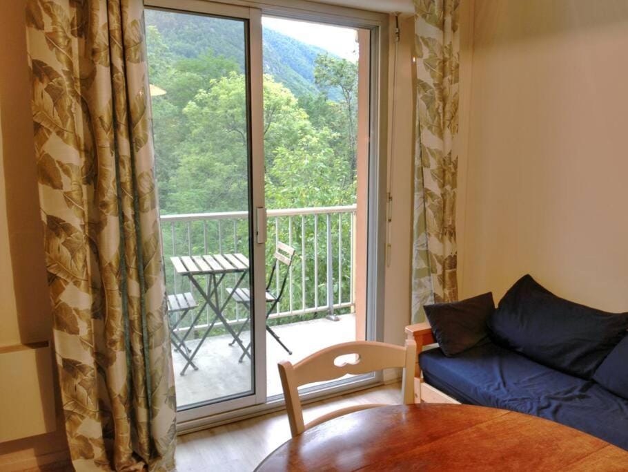 Le petit skieur Apartment in Occitanie