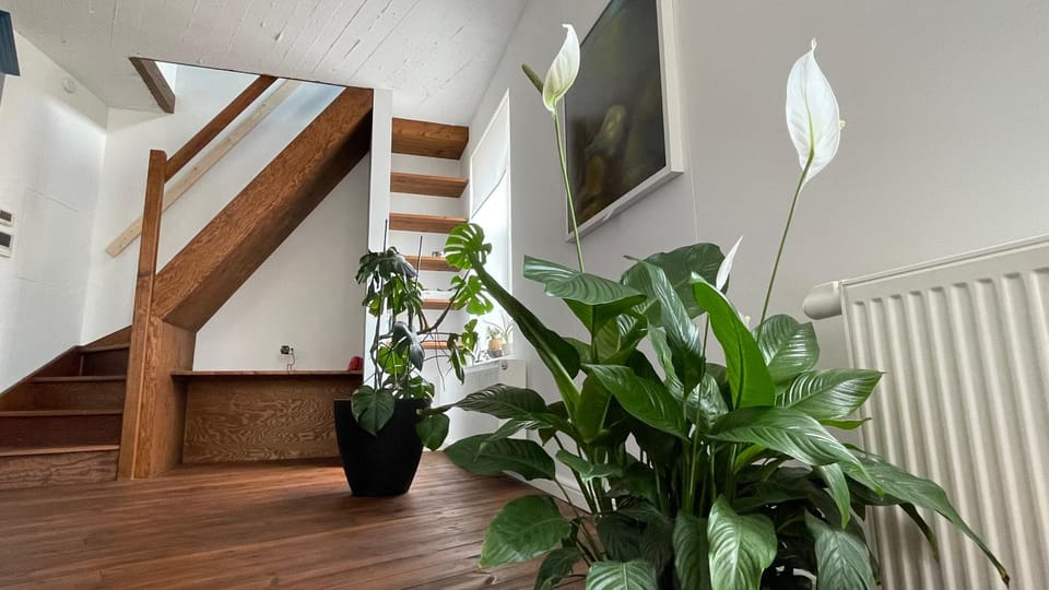 Maro Appartments Apartment in Ypres