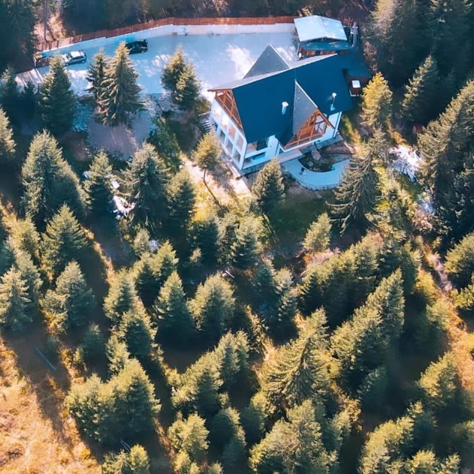 Luna Retreat Nature lodge in Cluj County