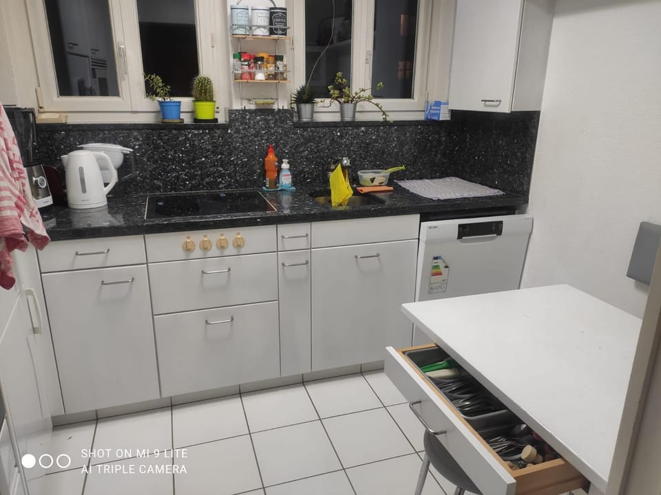 Kitchen or kitchenette, dishwasher