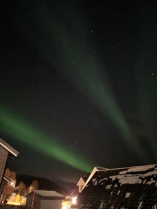 Night, Natural landscape