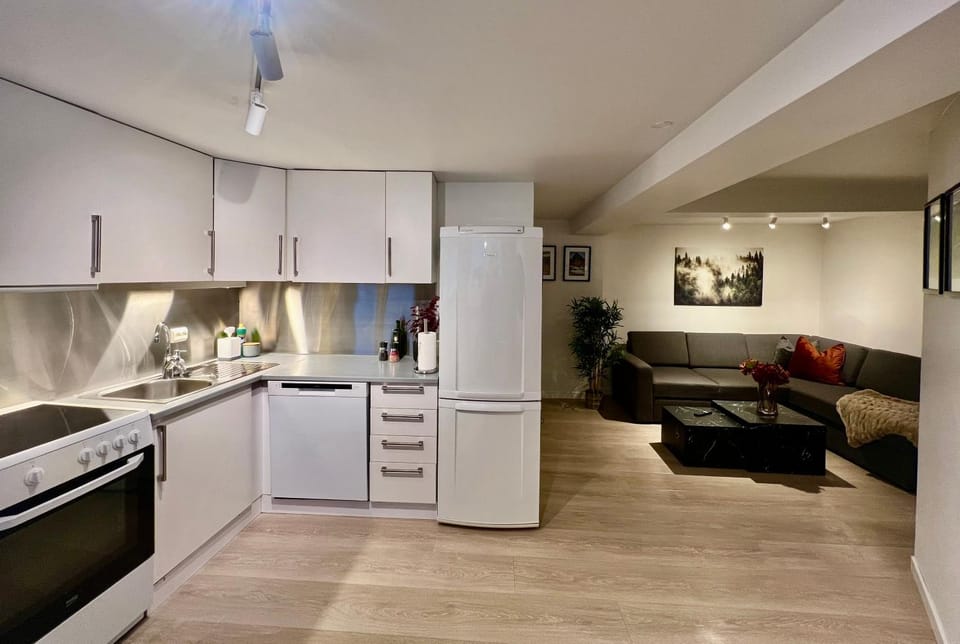 Kitchen or kitchenette, Living room, Photo of the whole room, Seating area, dishwasher, oven, stove