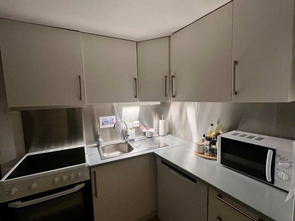 Kitchen or kitchenette, dishwasher, oven, stove