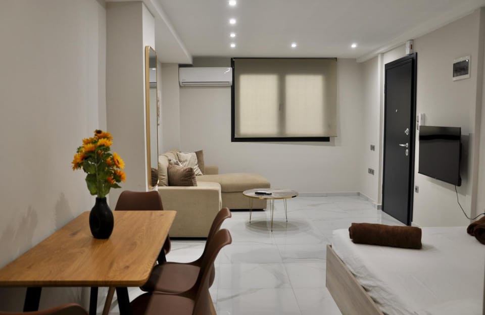 TV and multimedia, Seating area, Dining area, air conditioner