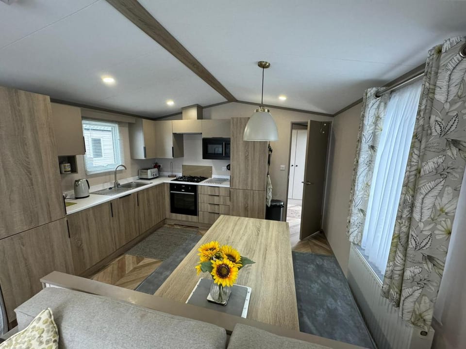 Kitchen or kitchenette, Dining area, oven, stove