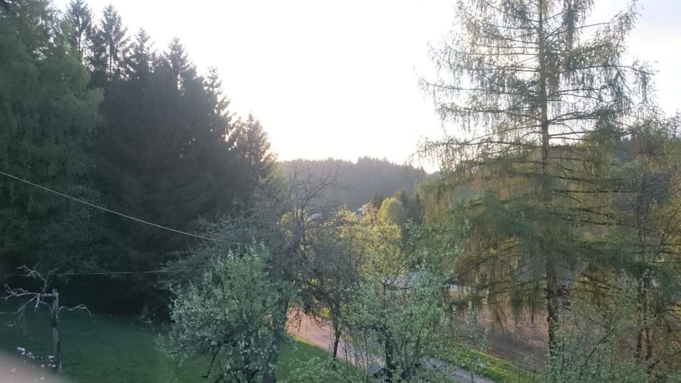 Haus Maria House in Friuli-Venezia Giulia