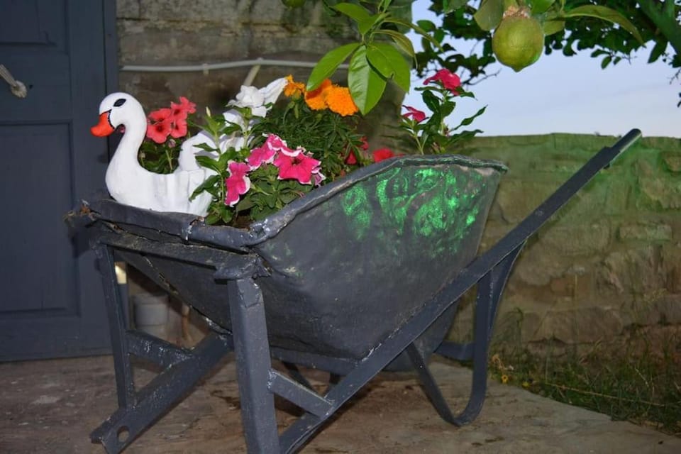 Garden, Garden