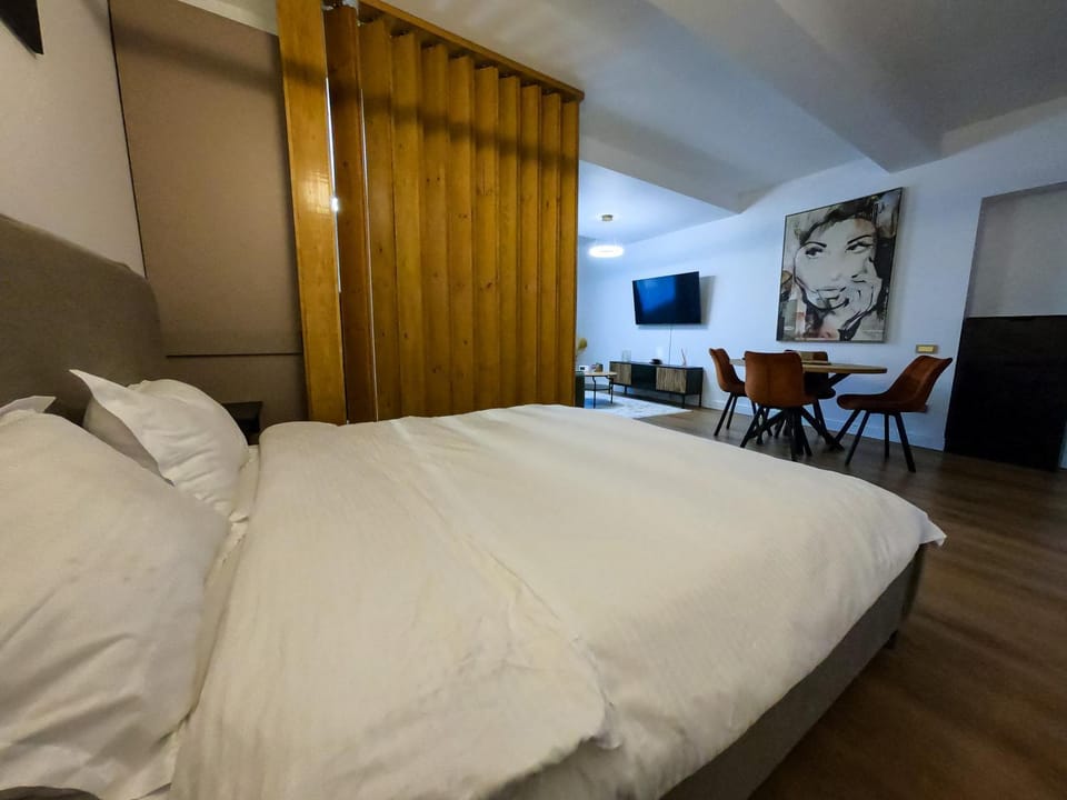 Apartament 1 Ultra Central Apartment in Cluj-Napoca
