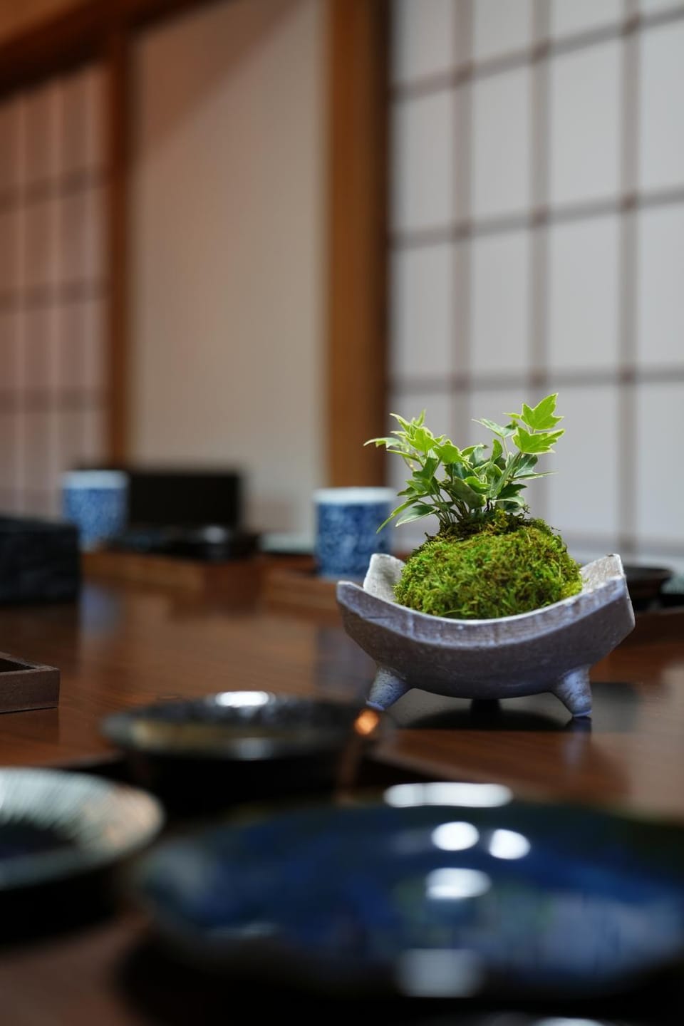 Dining area, Food