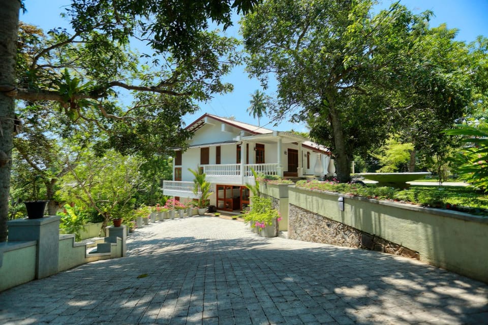 Property building, Day, Garden view