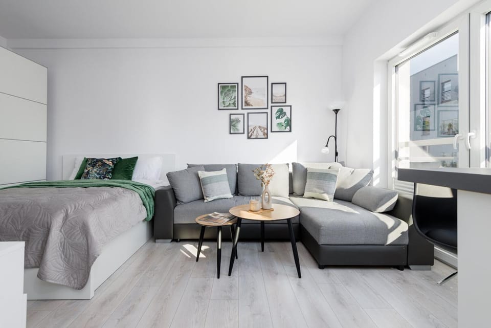Bed, Living room, Photo of the whole room, Seating area, Bedroom