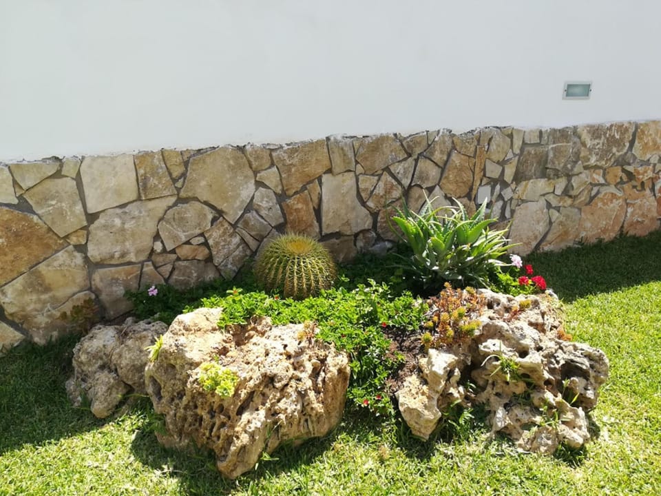 Garden, Other