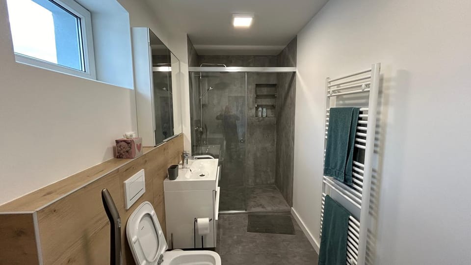 Shower, Toilet