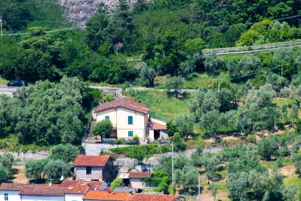 Property building, Natural landscape