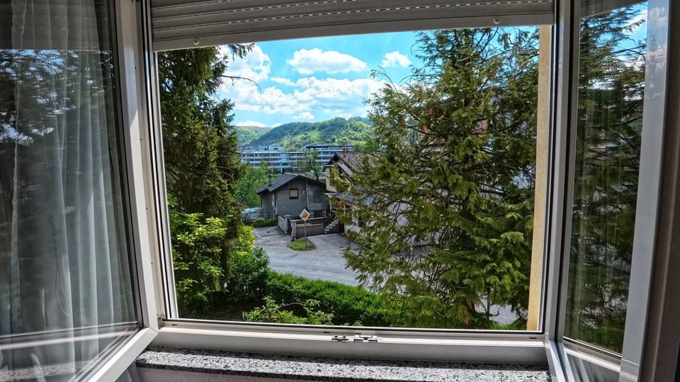 Garden view