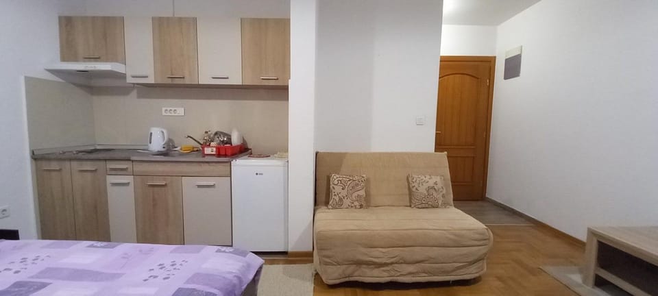 Zoćo Apartment in Zlatibor