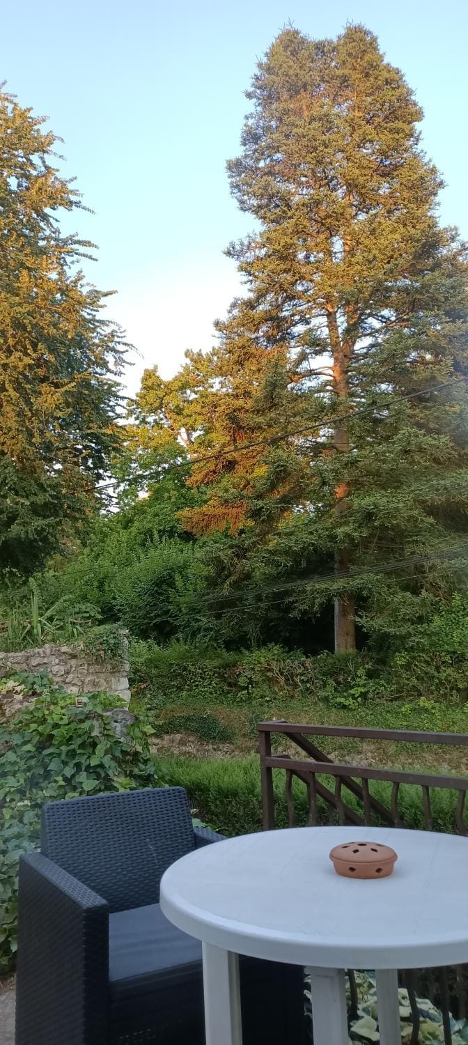 Garden, Balcony/Terrace
