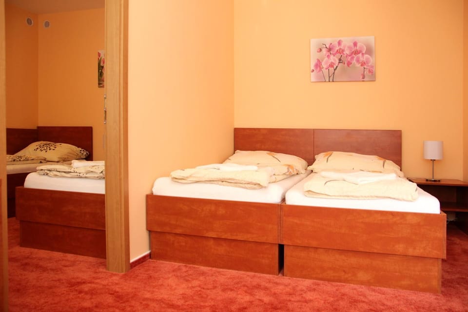 Černý Kocour Apart hotel Apartment in South Moravian Region