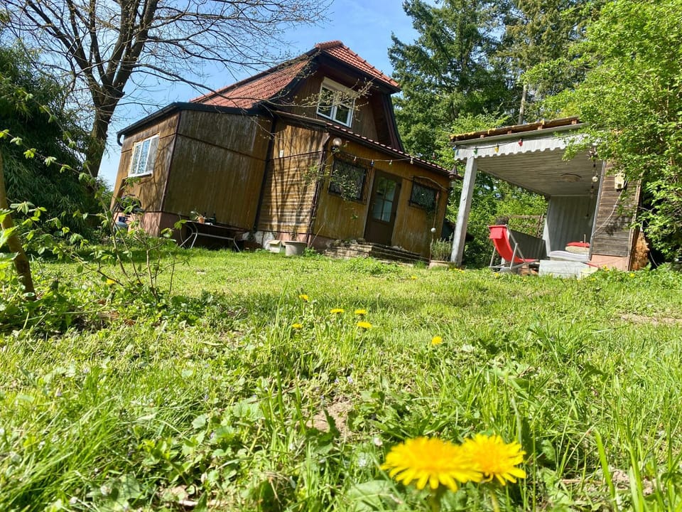 Property building, Garden view