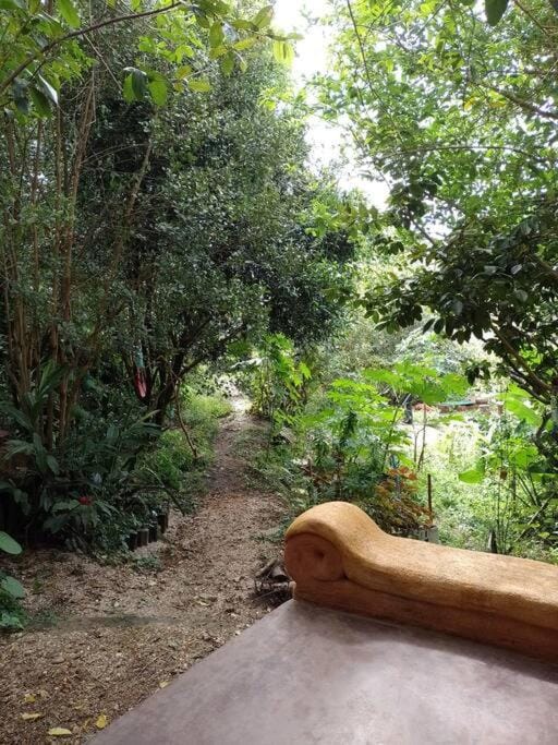 Garden view