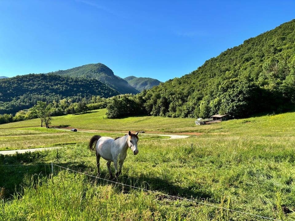 Agriturismo La Falesia Apartment in Liguria