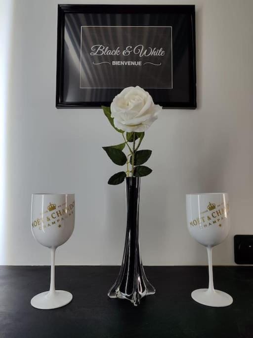 Studio Black and White Apartment in Le Mans