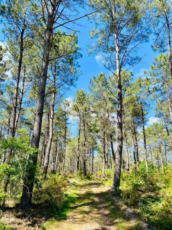 Day, Natural landscape, Hiking