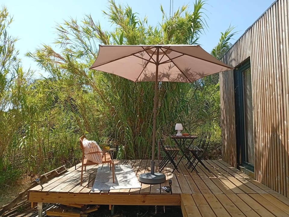 Patio, Garden, Garden view