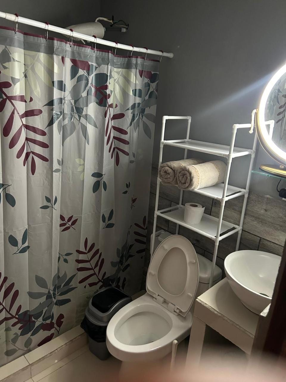 Toilet, Bathroom