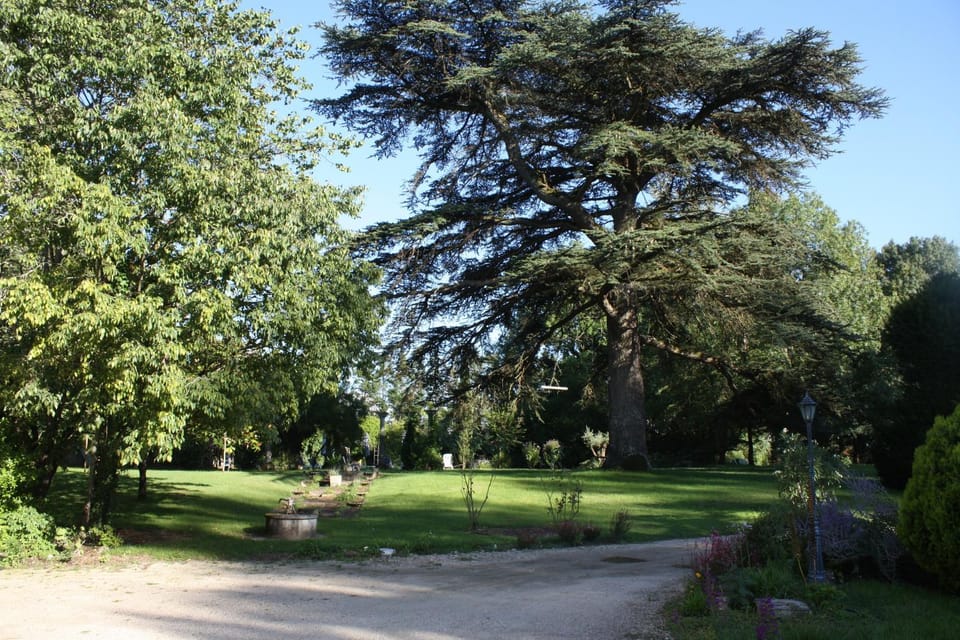 Spring, Day, On site, Garden view