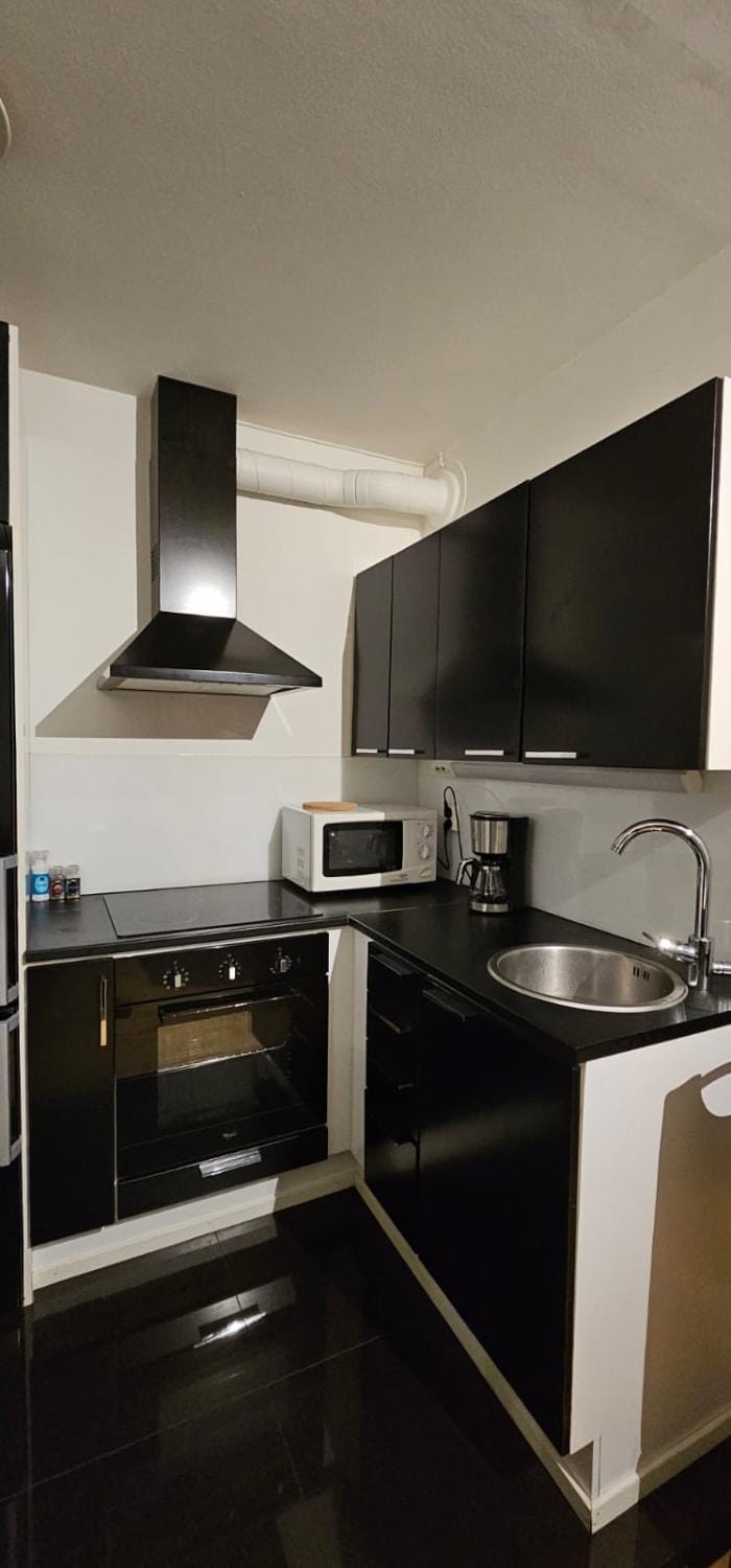 Kompakti yksiö Sepis Apartment in Finland