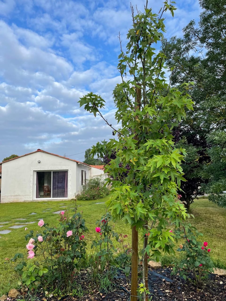 Un studio indépendant avec jardin House in Talmont-Saint-Hilaire