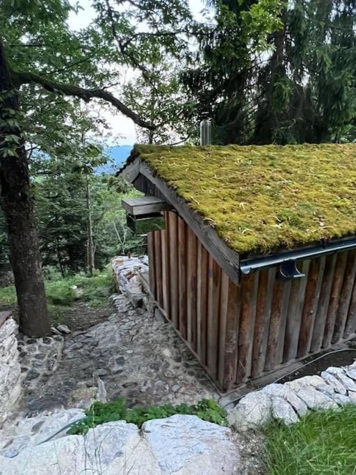 Forest eco-house & spa Villa in Slovenia