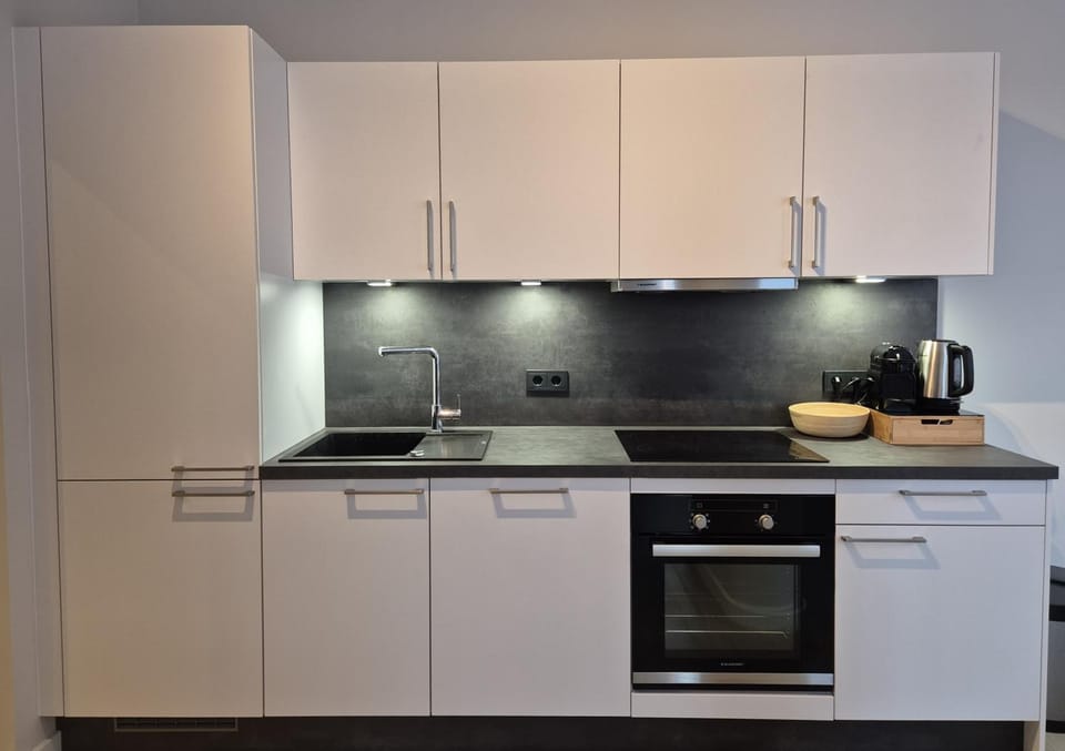 Kitchen or kitchenette, dishwasher, stove, stove, kitchen, kitchen
