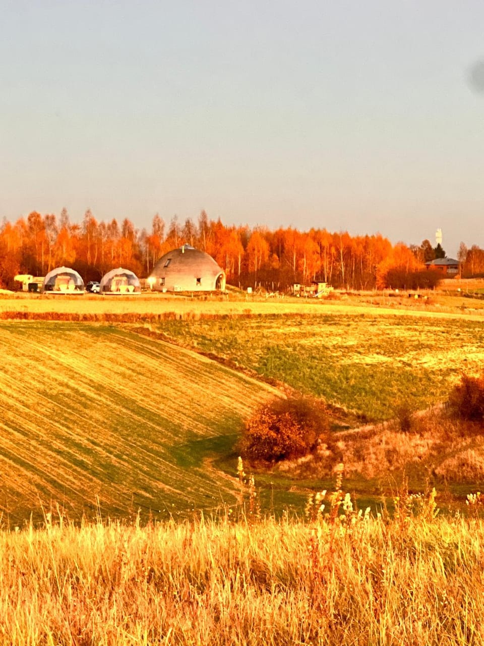 Natural landscape