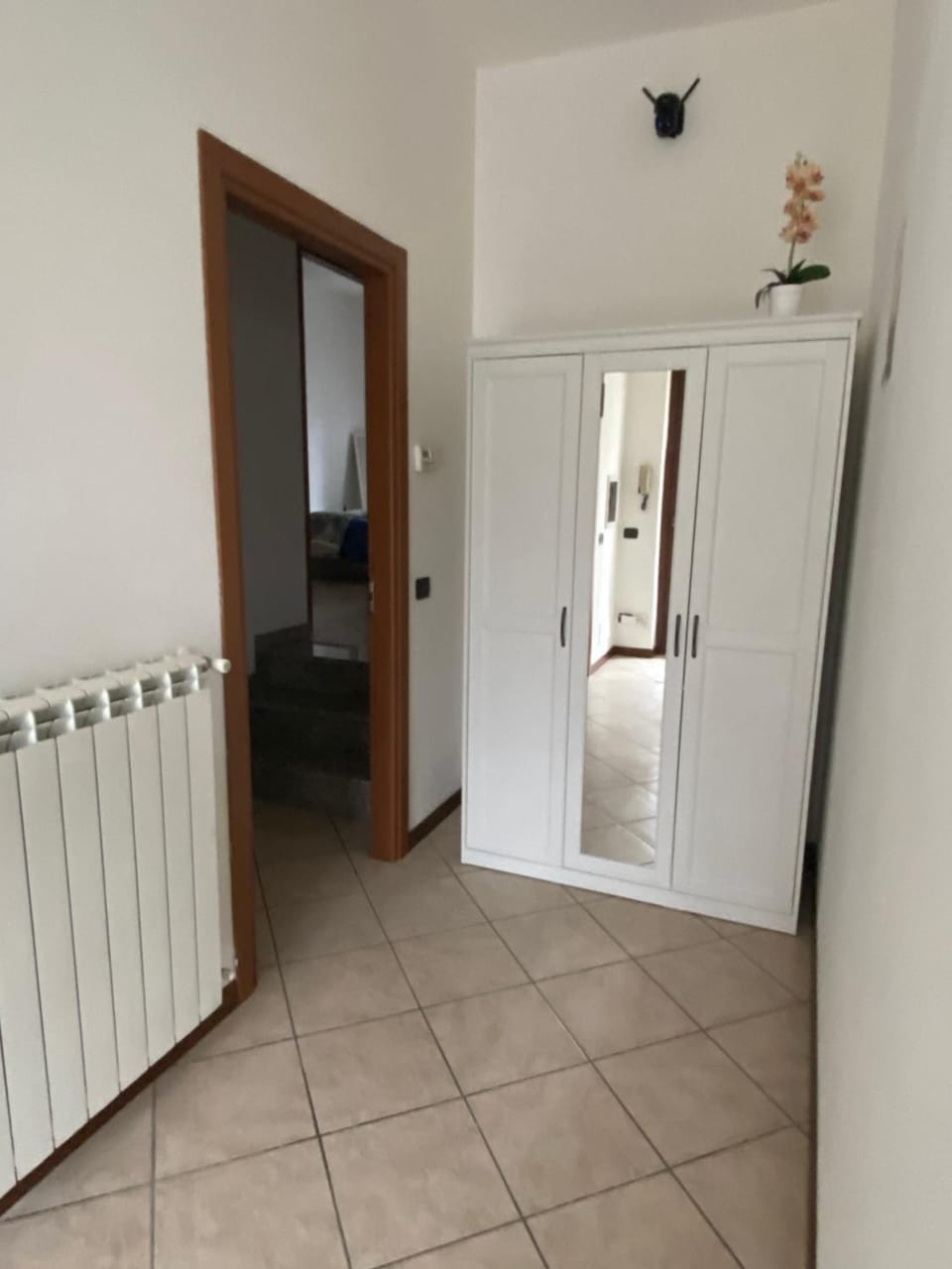 Area and facilities, wardrobe