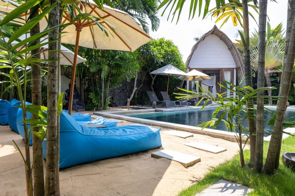Garden, Swimming pool, sunbed