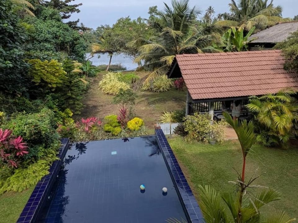 Spring, Day, Natural landscape, Garden, Garden view, Lake view, Pool view, River view, Swimming pool