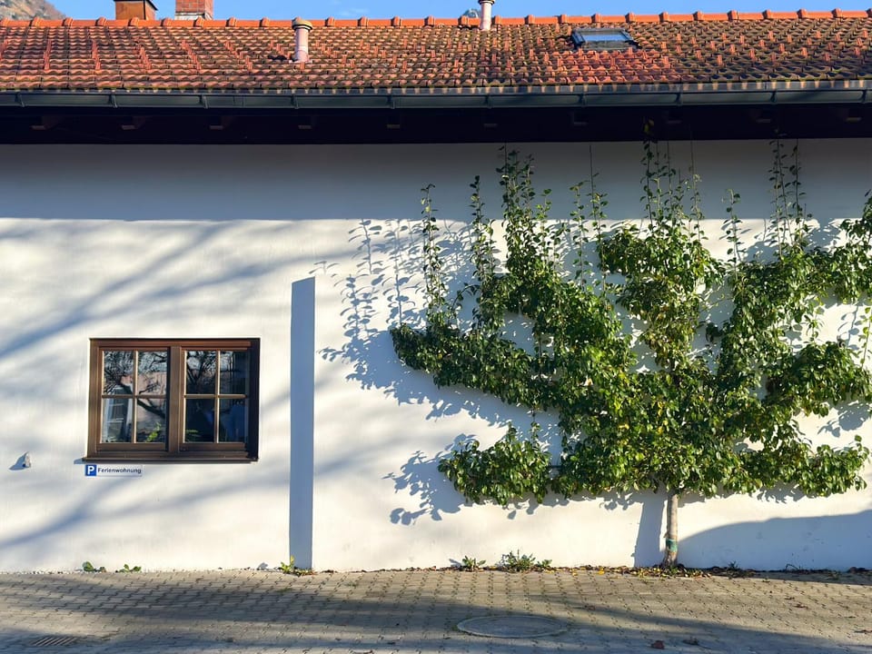 Achentaler Alpentor Apartment in Grassau