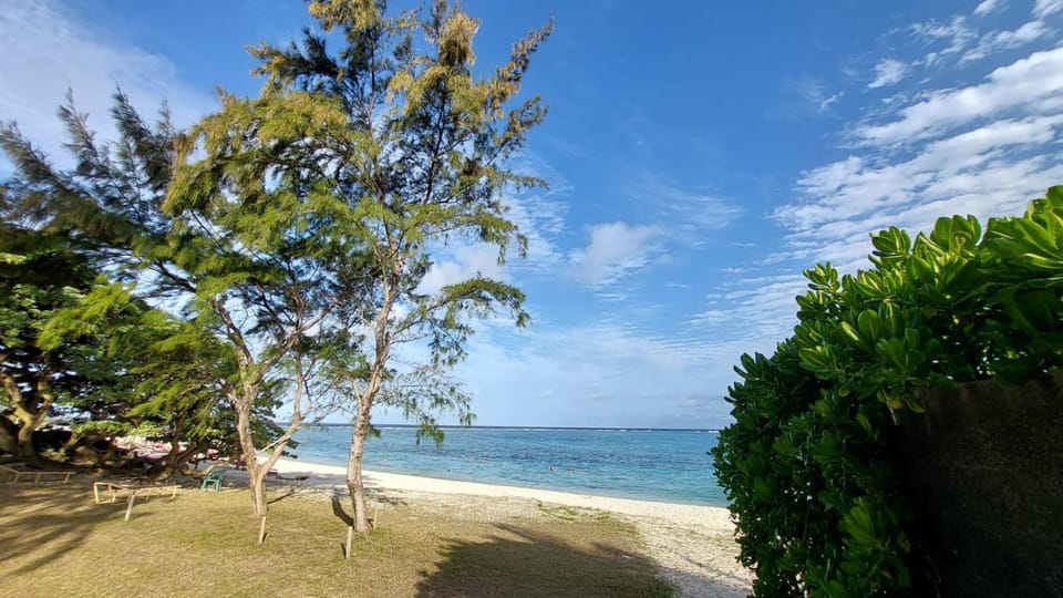 Day, Natural landscape, Beach