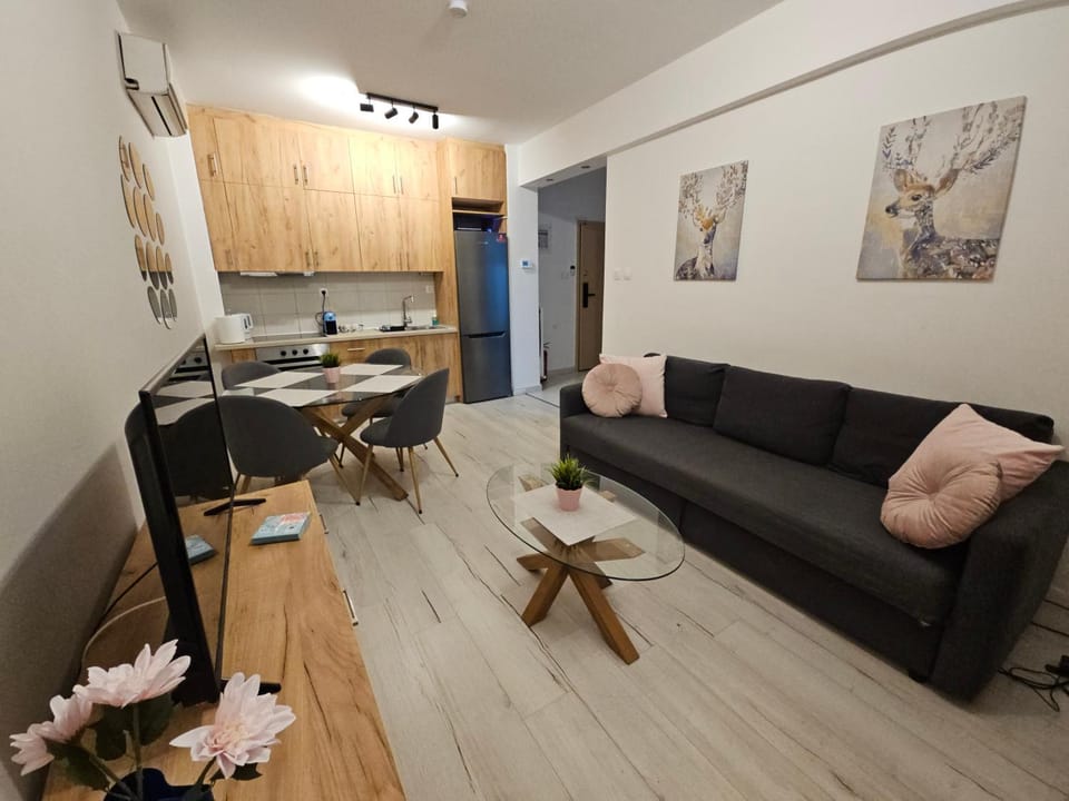 TV and multimedia, Living room, Seating area, Dining area, kitchen, air conditioner