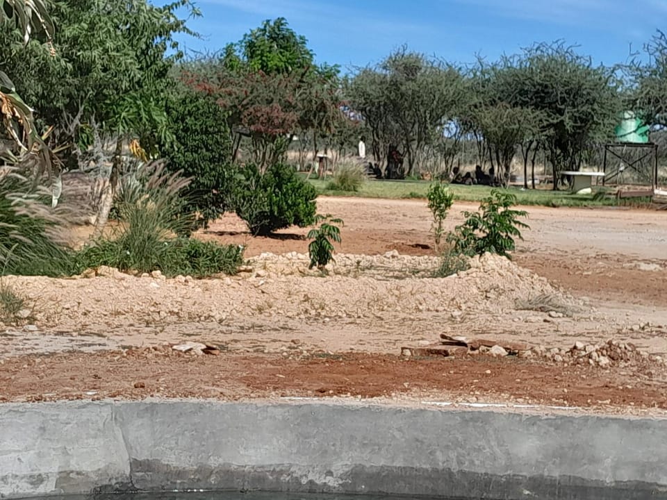 Ansta Farmhouse Self Catering Camping Nursery Campground/ 
RV Resort in Namibia