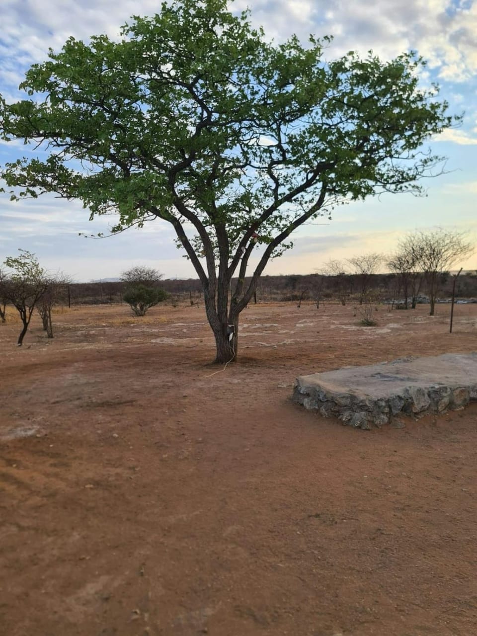 Ansta Farmhouse Self Catering Camping Nursery Campground/ 
RV Resort in Namibia