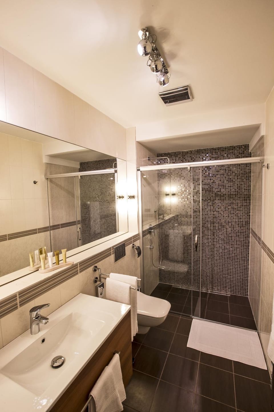 Shower, Toilet