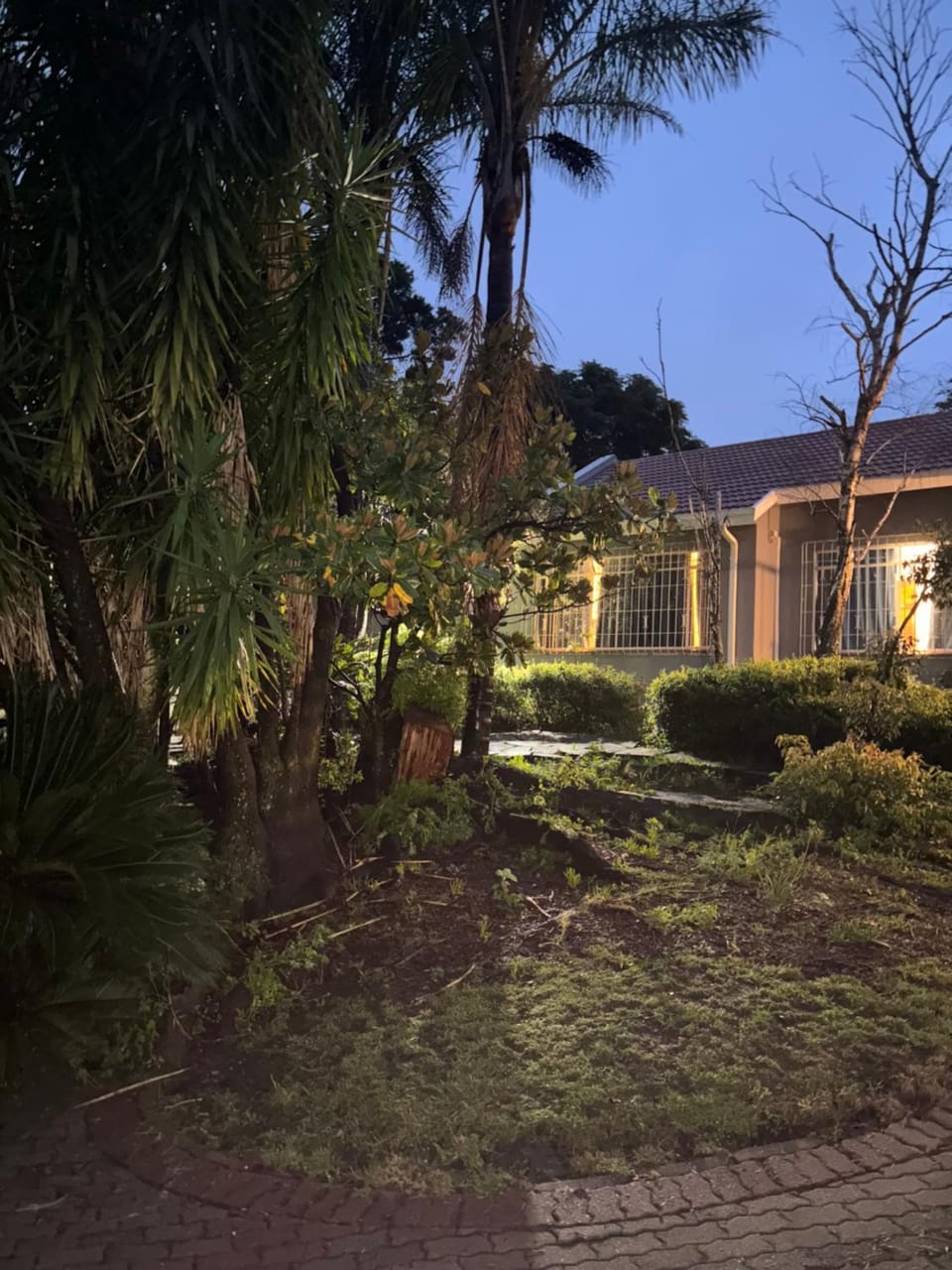 Night, Garden, Garden view