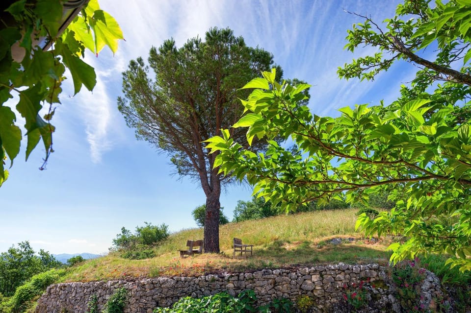 Spring, Natural landscape, Garden, Garden view